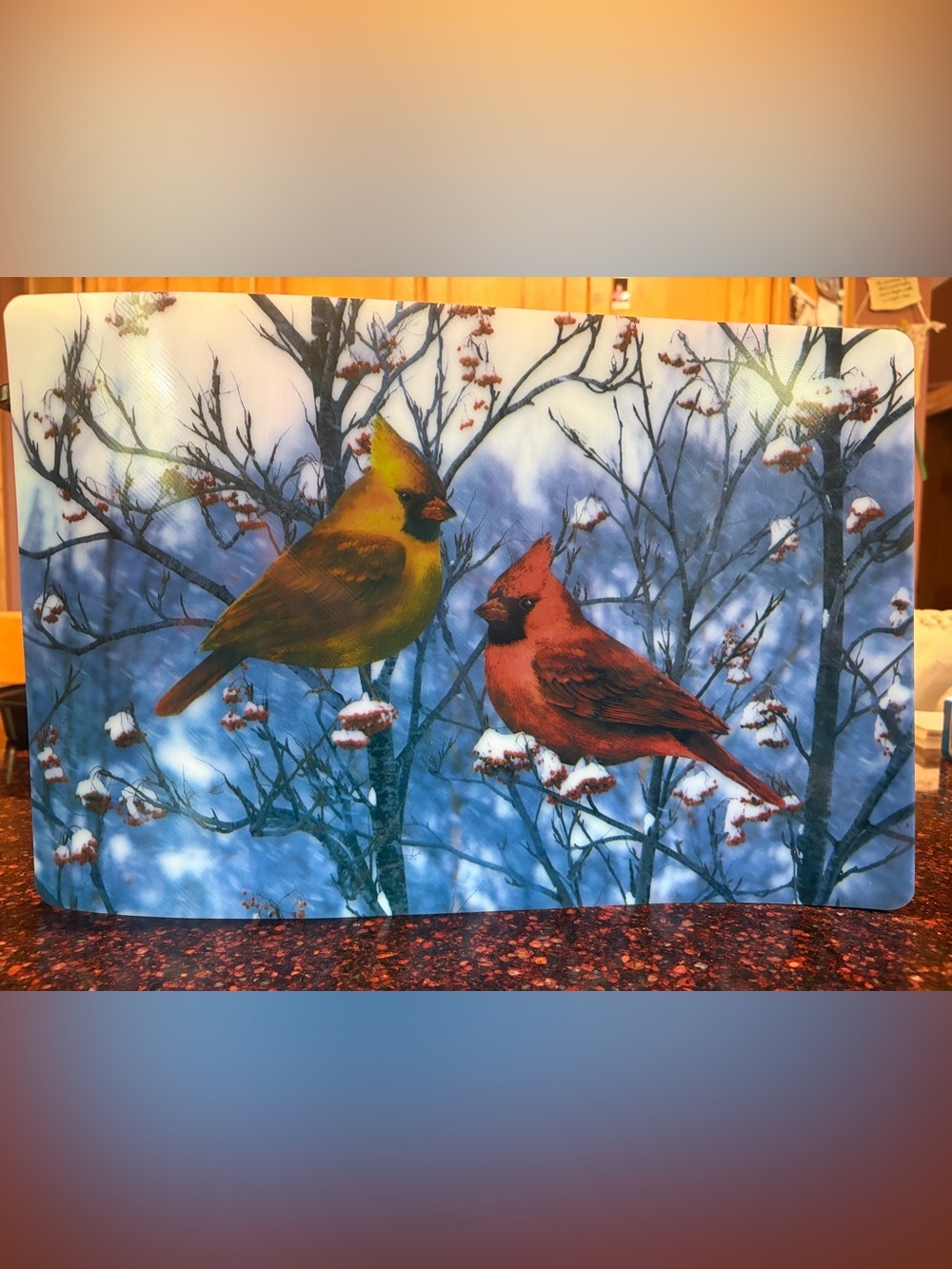 Winter Cardinal Bird Plastic Placemats Set of 8